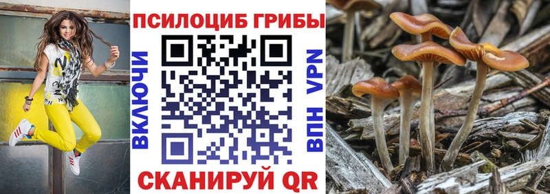 Галлюциногенные грибы ЛСД  Купить закладки  Берёзовский 